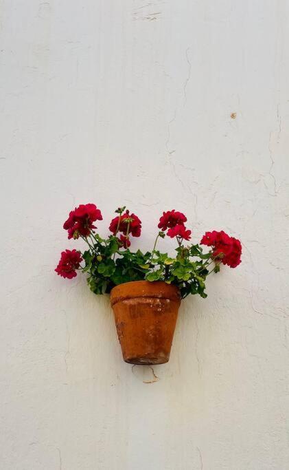 Couples Only, Beautiful 1 Bedroom Apartment In Victoria Building Mojácar Exteriér fotografie